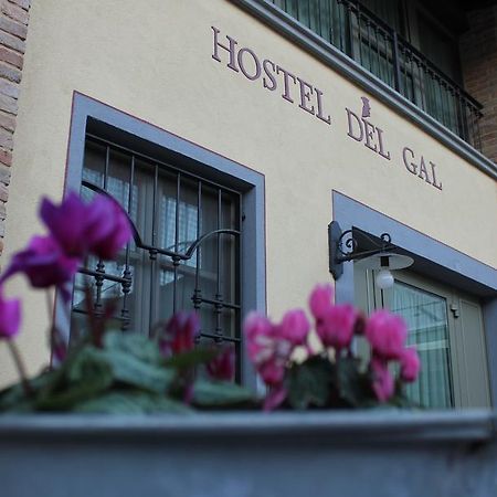 Hostel Del Gal كلوساني سول لاغو المظهر الخارجي الصورة