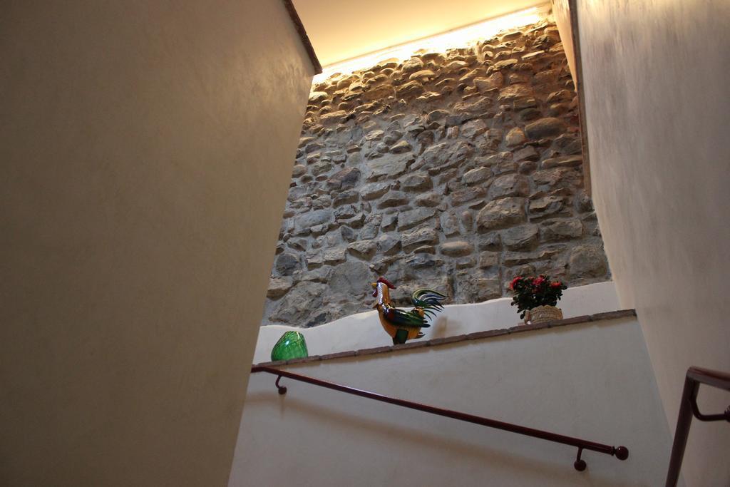 Hostel Del Gal كلوساني سول لاغو المظهر الخارجي الصورة